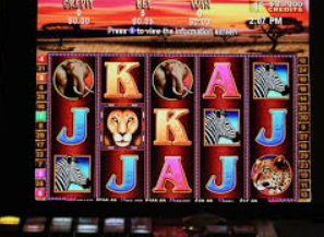 赏金国际vip登录入口正式版